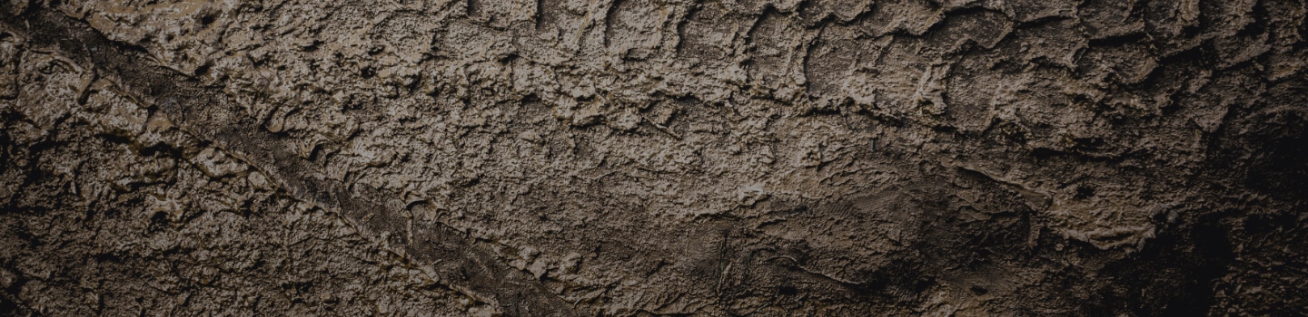 Close up image of dirt.