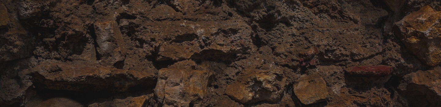 Close up image of soil.